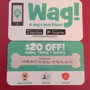 Dog Walking